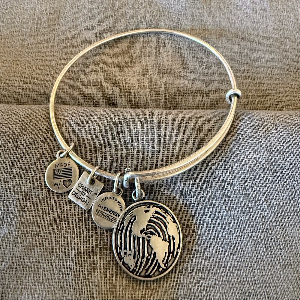 Alex and Ani Silver Globe Charm Bangle Bracelet